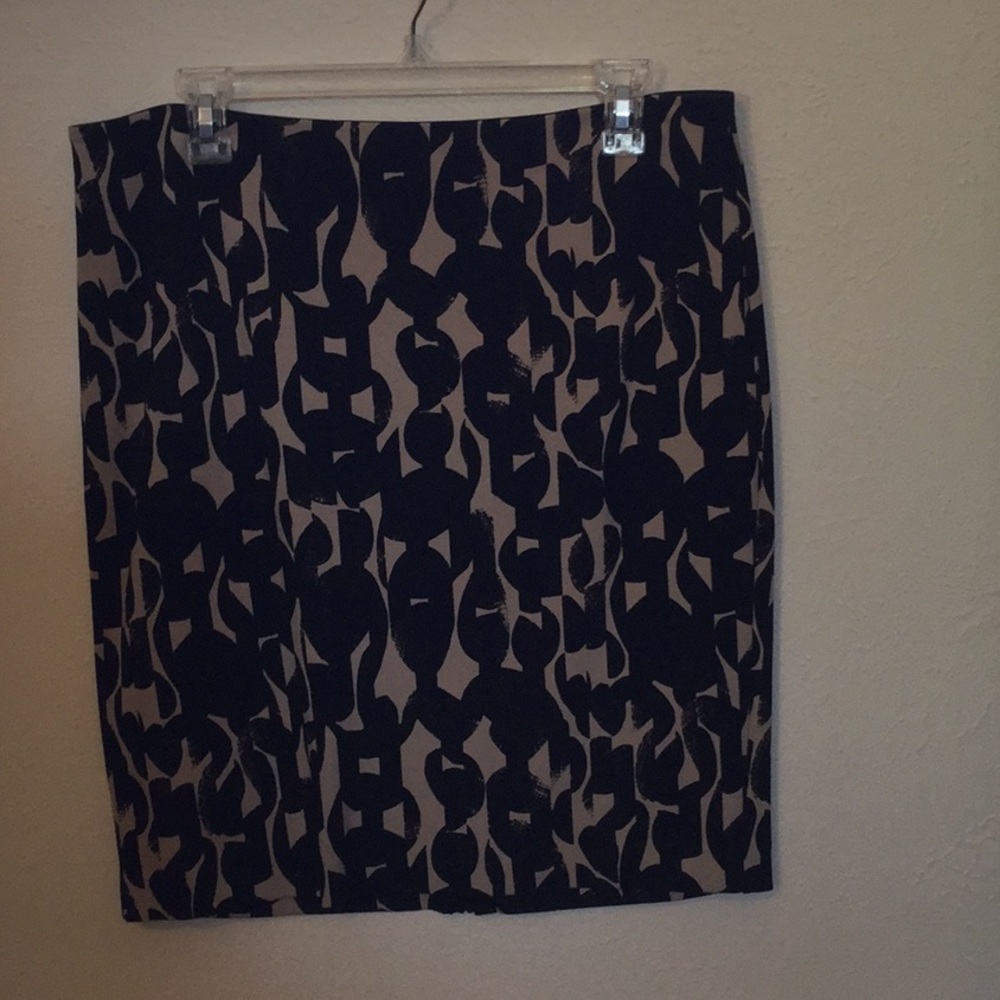 Ann Taylor skirt